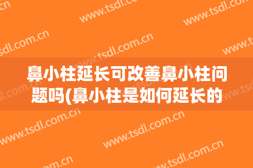 鼻小柱延长可改善鼻小柱问题吗(鼻小柱是如何延长的)
