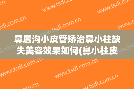 鼻唇沟小皮管矫治鼻小柱缺失美容效果如何(鼻小柱皮瓣修复图片)