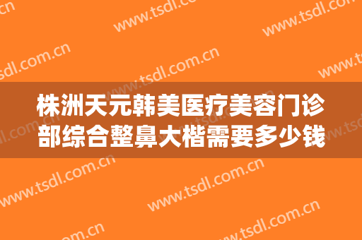 株洲天元韩美医疗美容门诊部综合整鼻大楷需要多少钱?效果怎么样?(株洲医美整形医院)