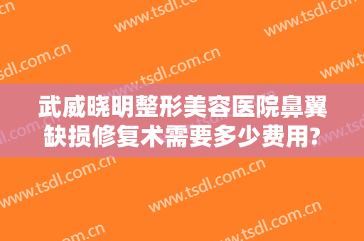 武威晓明整形美容医院鼻翼缺损修复术需要多少费用?靠谱吗?