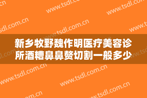 新乡牧野魏作明医疗美容诊所酒糟鼻鼻赘切割一般多少费用?好不好?