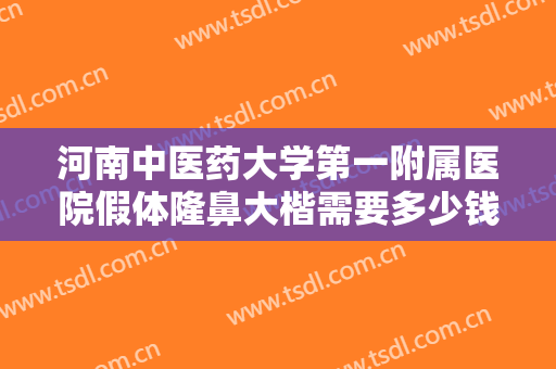 河南中医药大学第一附属医院假体隆鼻大楷需要多少钱?贵不贵?