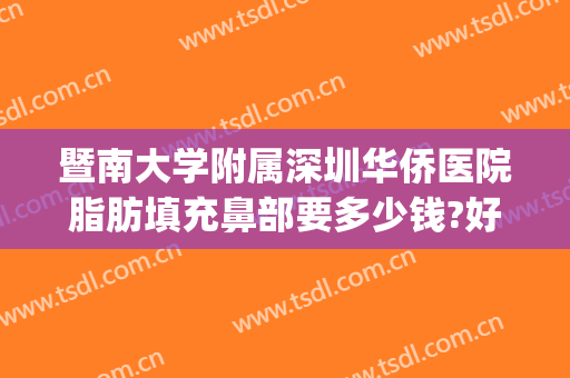 暨南大学附属深圳华侨医院脂肪填充鼻部要多少钱?好不好?(暨南大学附属深圳华侨医院美容科)