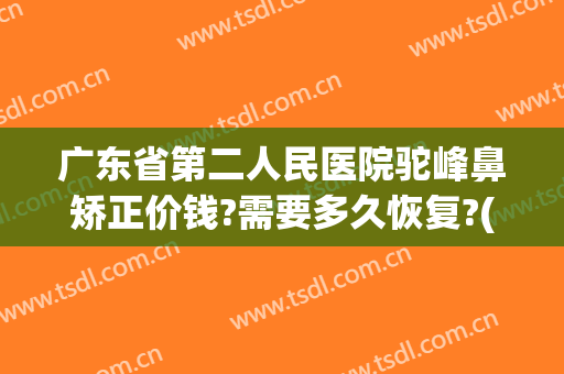 广东省第二人民医院驼峰鼻矫正价钱?需要多久恢复?(驼峰鼻矫正术鼻外固定几周去除)