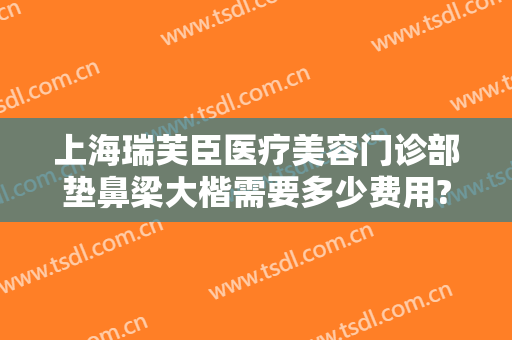 上海瑞芙臣医疗美容门诊部垫鼻梁大楷需要多少费用?好不好?