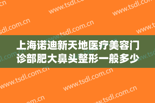 上海诺迪新天地医疗美容门诊部肥大鼻头整形一般多少费用?怎么样?(上海诺迪新天地医疗美容电话门诊部)