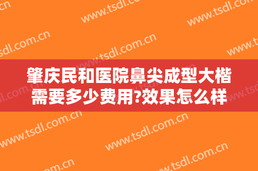 肇庆民和医院鼻尖成型大楷需要多少费用?效果怎么样?