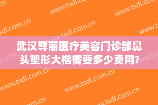 武汉尊丽医疗美容门诊部鼻头塑形大楷需要多少费用?效果怎么样?(武汉隆鼻的一般费用)