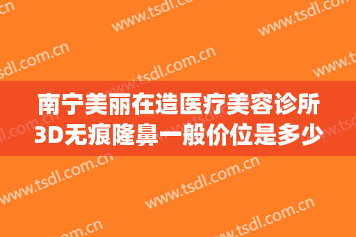 南宁美丽在造医疗美容诊所3D无痕隆鼻一般价位是多少?贵不贵?(南宁整形隆鼻修复)