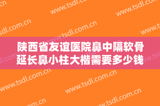 陕西省友谊医院鼻中隔软骨延长鼻小柱大楷需要多少钱?多长时间恢复?