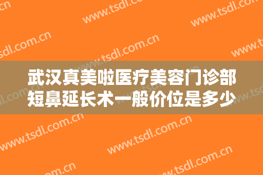 武汉真美啦医疗美容门诊部短鼻延长术一般价位是多少钱?贵不贵?