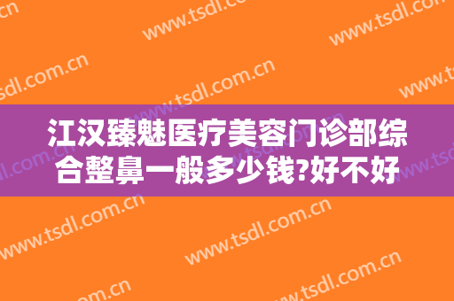江汉臻魅医疗美容门诊部综合整鼻一般多少钱?好不好?