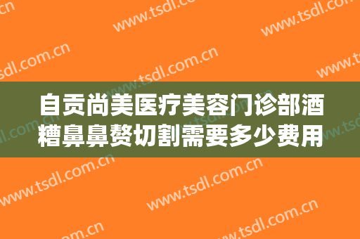 自贡尚美医疗美容门诊部酒糟鼻鼻赘切割需要多少费用?可靠吗?(自贡尚美整形)