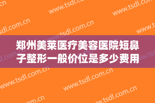 郑州美莱医疗美容医院短鼻子整形一般价位是多少费用?怎么样?(医美整形鼻子多少钱)