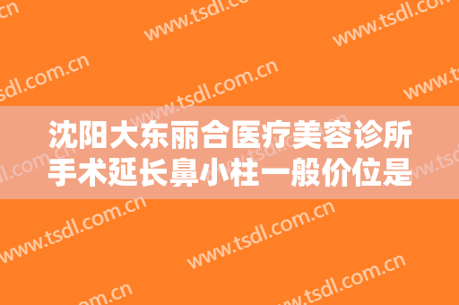 沈阳大东丽合医疗美容诊所手术延长鼻小柱一般价位是多少费用?有哪些优势?