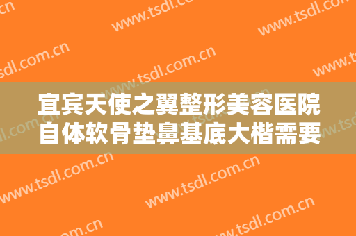 宜宾天使之翼整形美容医院自体软骨垫鼻基底大楷需要多少费用?好不好?