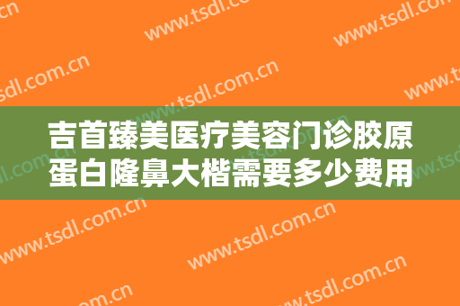 吉首臻美医疗美容门诊胶原蛋白隆鼻大楷需要多少费用?需要多久恢复?