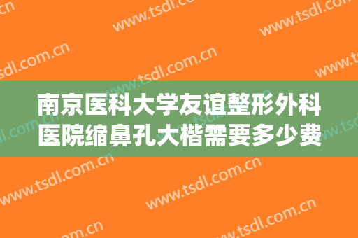 南京医科大学友谊整形外科医院缩鼻孔大楷需要多少费用?靠谱吗?(南京鼻整形比较好的医生)