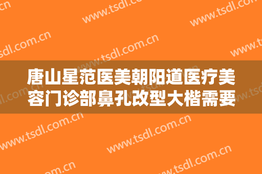 唐山星范医美朝阳道医疗美容门诊部鼻孔改型大楷需要多少钱?可靠吗?