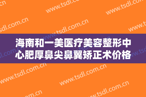 海南和一美医疗美容整形中心肥厚鼻尖鼻翼矫正术价格多少钱?贵不贵?