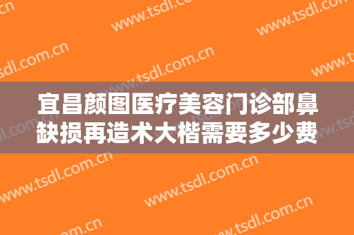 宜昌颜图医疗美容门诊部鼻缺损再造术大楷需要多少费用?可靠吗?