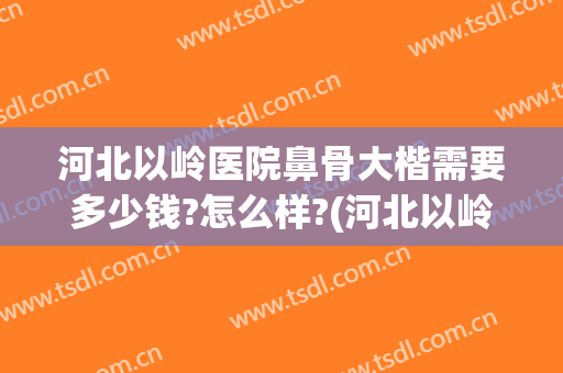 河北以岭医院鼻骨大楷需要多少钱?怎么样?(河北以岭医院看骨科怎么样)