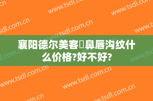 襄阳德尔美客袪鼻唇沟纹什么价格?好不好?