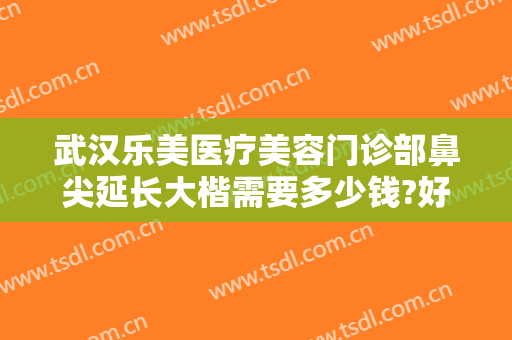 武汉乐美医疗美容门诊部鼻尖延长大楷需要多少钱?好不好?
