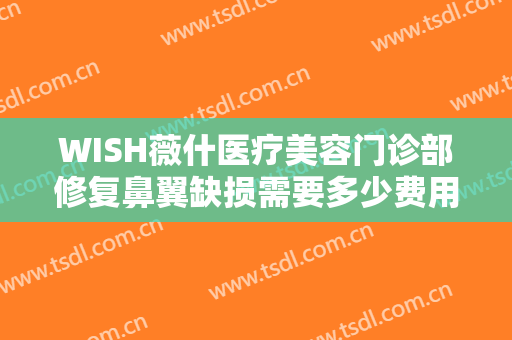 WISH薇什医疗美容门诊部修复鼻翼缺损需要多少费用?效果怎么样?
