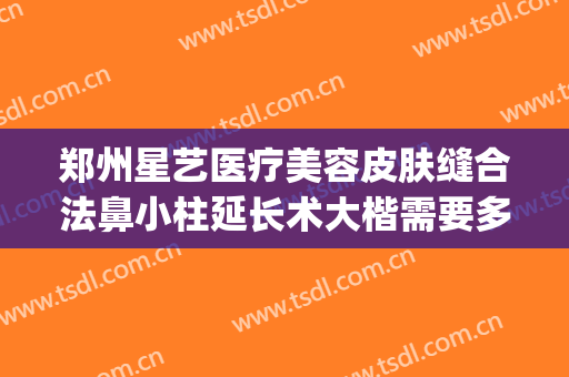 郑州星艺医疗美容皮肤缝合法鼻小柱延长术大楷需要多少钱?好不好?(郑州艺星整形)