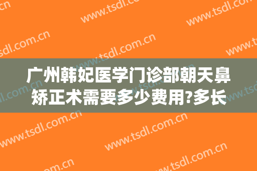 广州韩妃医学门诊部朝天鼻矫正术需要多少费用?多长时间恢复?(广州韩妃整形医院是正规医院吗)