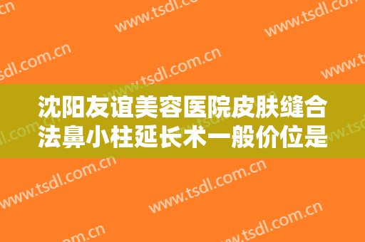 沈阳友谊美容医院皮肤缝合法鼻小柱延长术一般价位是多少钱?贵不贵?