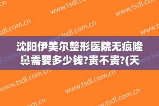 沈阳伊美尔整形医院无痕隆鼻需要多少钱?贵不贵?(天津伊美尔整容整形医院)