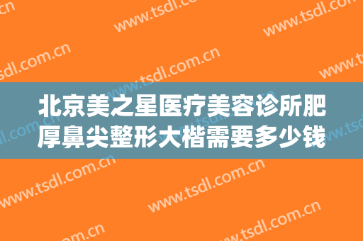 北京美之星医疗美容诊所肥厚鼻尖整形大楷需要多少钱?有哪些优势?(北京医美整形医院排名前五十)