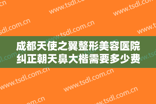 成都天使之翼整形美容医院纠正朝天鼻大楷需要多少费用?需要多久恢复?