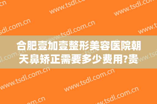 合肥壹加壹整形美容医院朝天鼻矫正需要多少费用?贵不贵?(合肥1+1整形美容医院怎么样)
