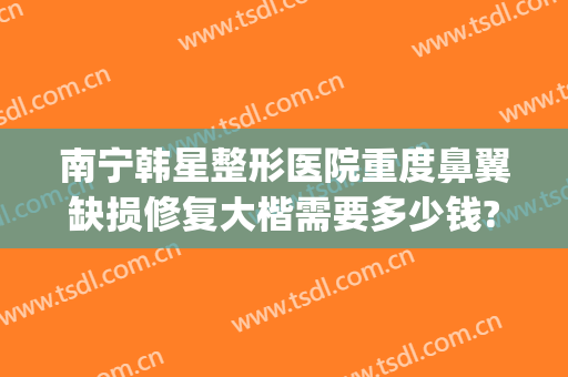 南宁韩星整形医院重度鼻翼缺损修复大楷需要多少钱?好不好?(南宁韩成整形医院哪位医生好)