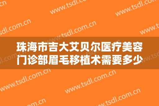 珠海市吉大艾贝尔医疗美容门诊部眉毛移植术需要多少钱?多长时间恢复?