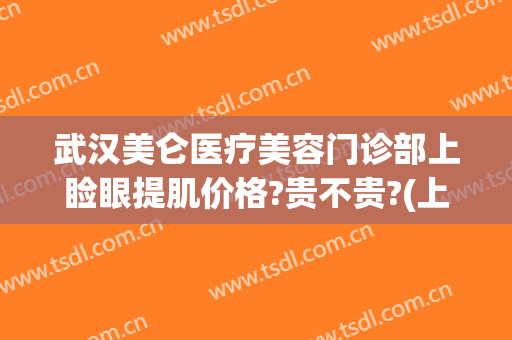 武汉美仑医疗美容门诊部上睑眼提肌价格?贵不贵?(上海美仑医疗美容门诊部有限公司)