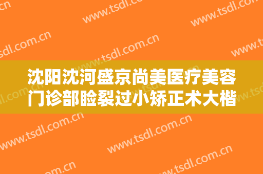 沈阳沈河盛京尚美医疗美容门诊部睑裂过小矫正术大楷需要多少钱?贵不贵?