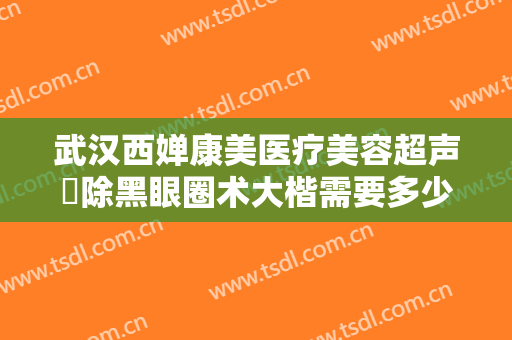武汉西婵康美医疗美容超声袪除黑眼圈术大楷需要多少费用?贵不贵?
