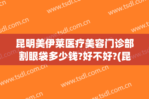 昆明美伊莱医疗美容门诊部割眼袋多少钱?好不好?(昆明美伊莱医疗美容医院在哪里)