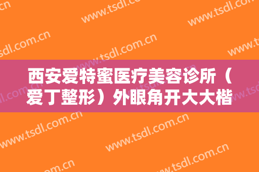 西安爱特蜜医疗美容诊所（爱丁整形）外眼角开大大楷需要多少钱?贵不贵?