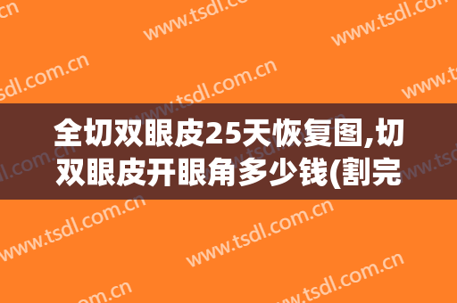 全切双眼皮25天恢复图,切双眼皮开眼角多少钱(割完双眼皮25天的图片)