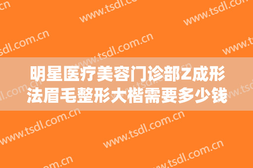 明星医疗美容门诊部Z成形法眉毛整形大楷需要多少钱?好不好?(明星医疗整形美容医院)
