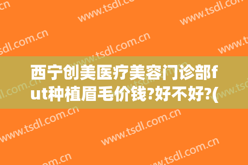 西宁创美医疗美容门诊部fut种植眉毛价钱?好不好?(大连植眉毛价格)
