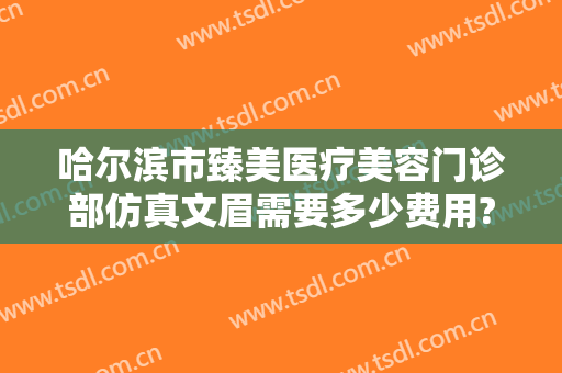 哈尔滨市臻美医疗美容门诊部仿真文眉需要多少费用?需要多久恢复?