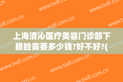 上海清沁医疗美容门诊部下眼睑需要多少钱?好不好?(上海清沁医疗美容医院是公立医院吗)