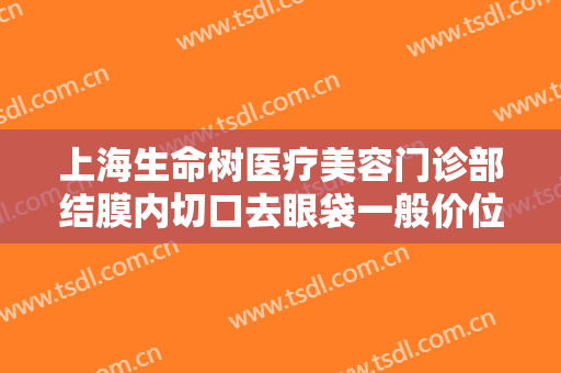 上海生命树医疗美容门诊部结膜内切口去眼袋一般价位是多少钱?贵不贵?