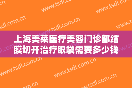 上海美莱医疗美容门诊部结膜切开治疗眼袋需要多少钱?需要多久恢复?